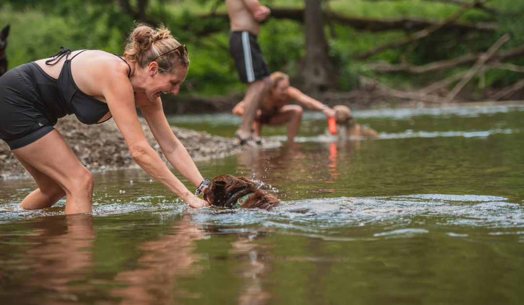 Suppen met je hond